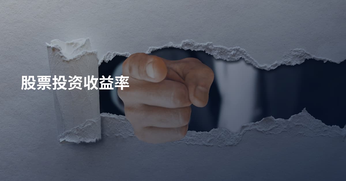 股票投资收益率