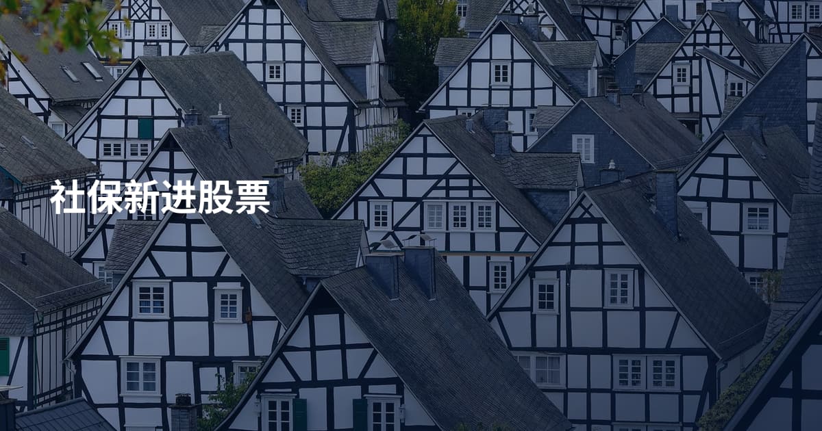 社保新进股票