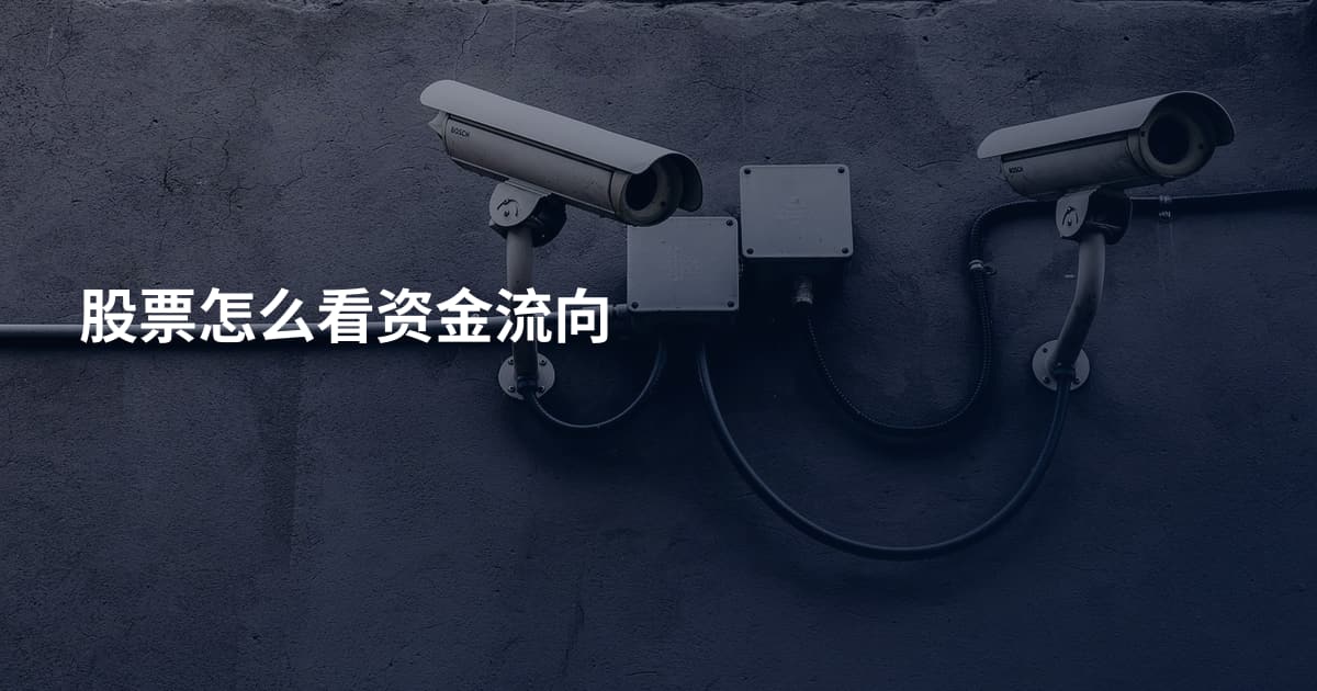 股票怎么看资金流向