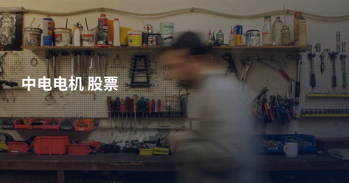 中电电机 股票