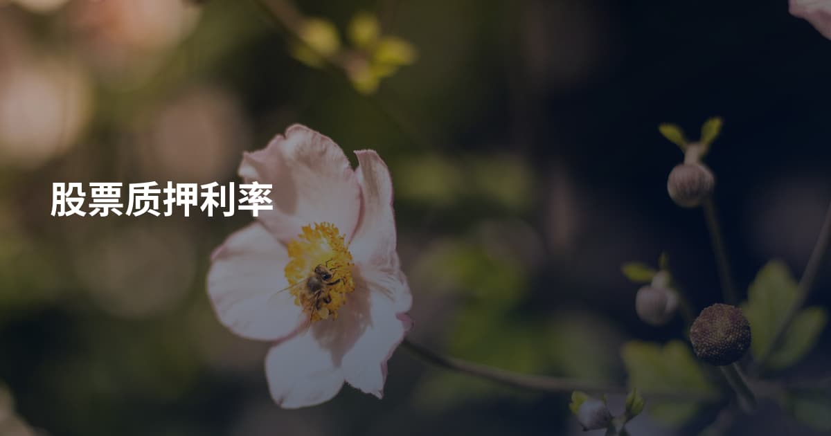 股票质押利率