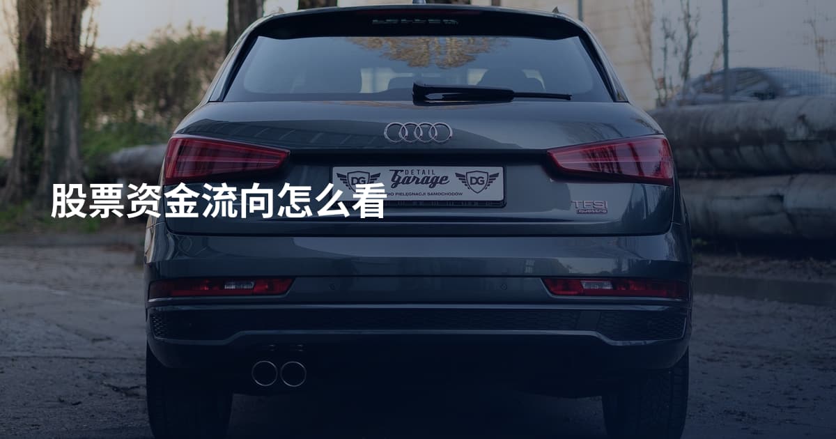 股票资金流向怎么看