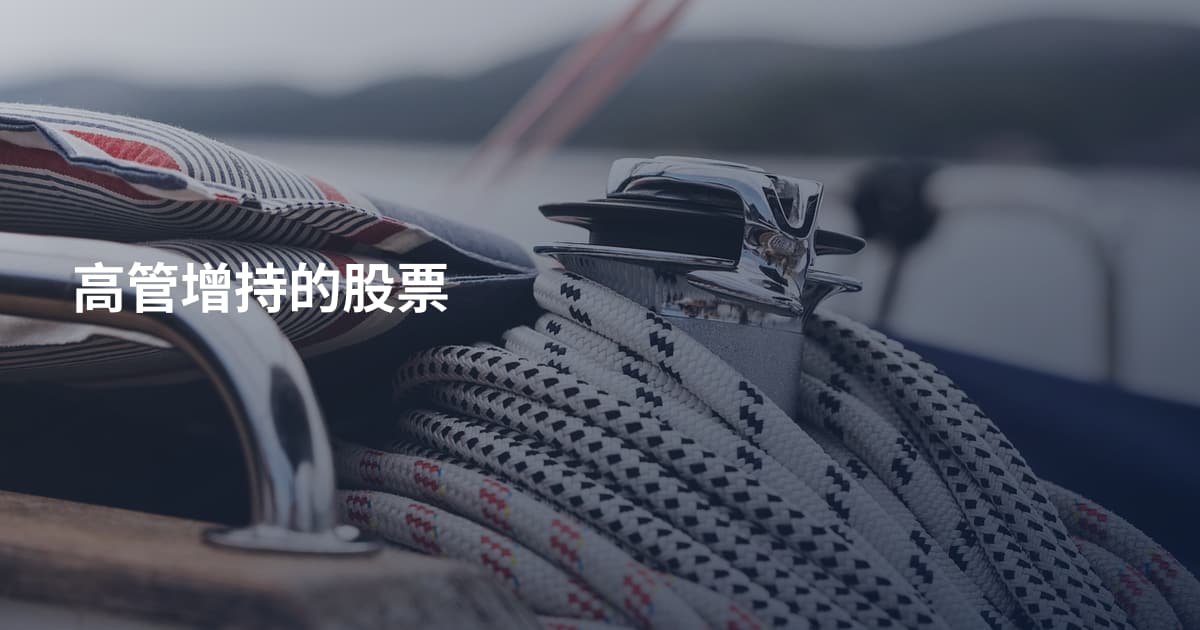 高管增持的股票