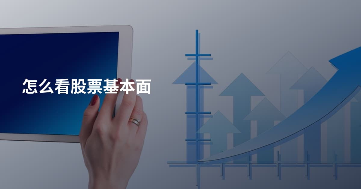 怎么看股票基本面