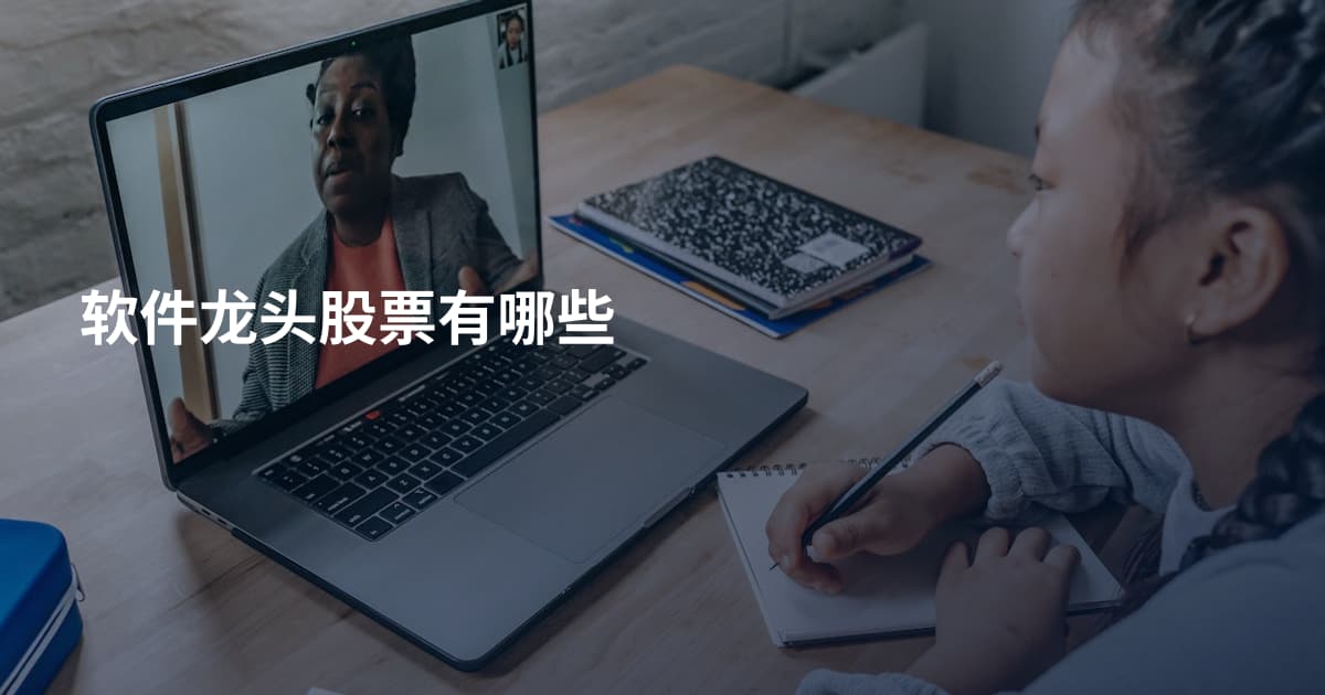 软件龙头股票有哪些