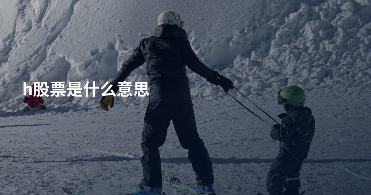 h股票是什么意思