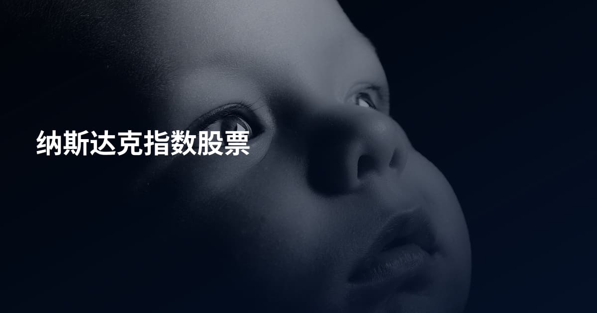 纳斯达克指数股票
