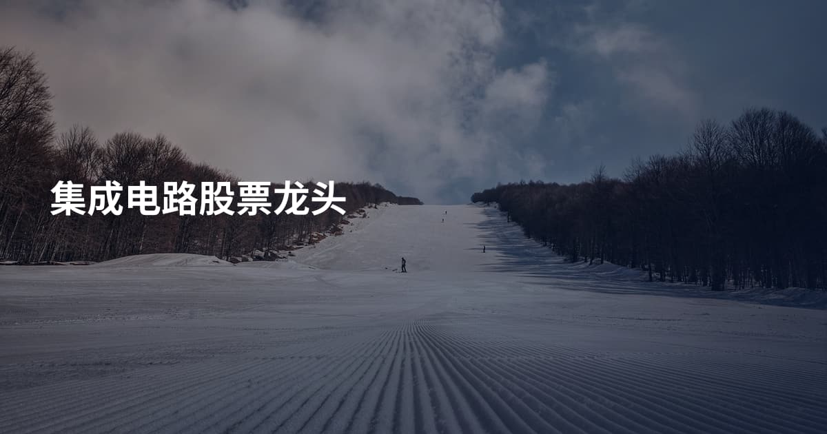 集成电路股票龙头