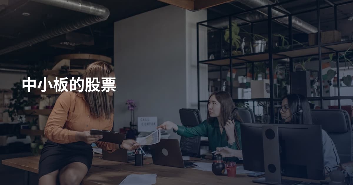 中小板的股票