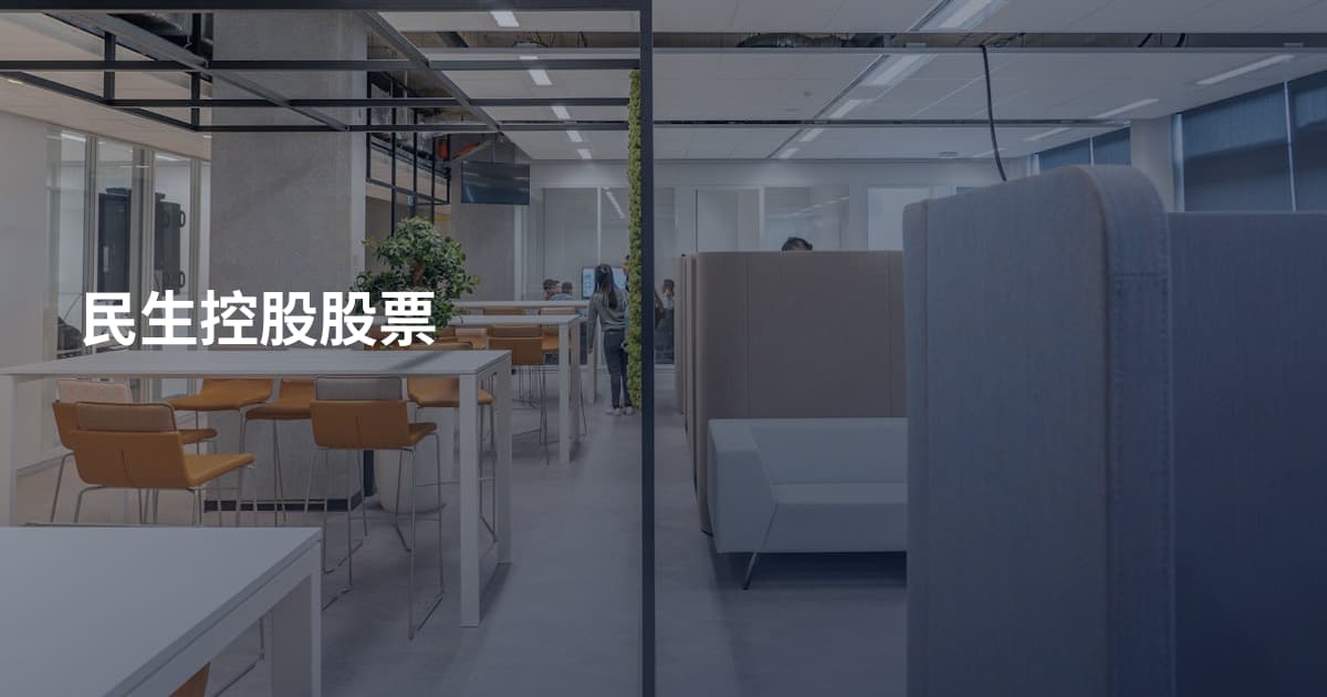 民生控股股票