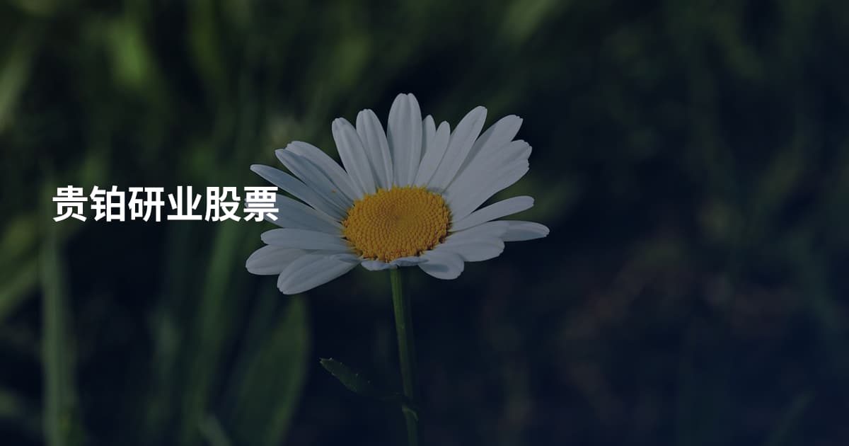 贵铂研业股票