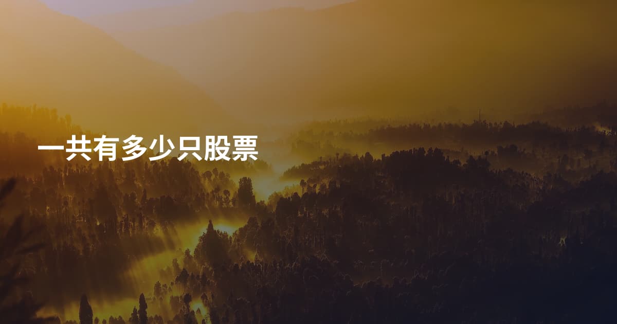 一共有多少只股票