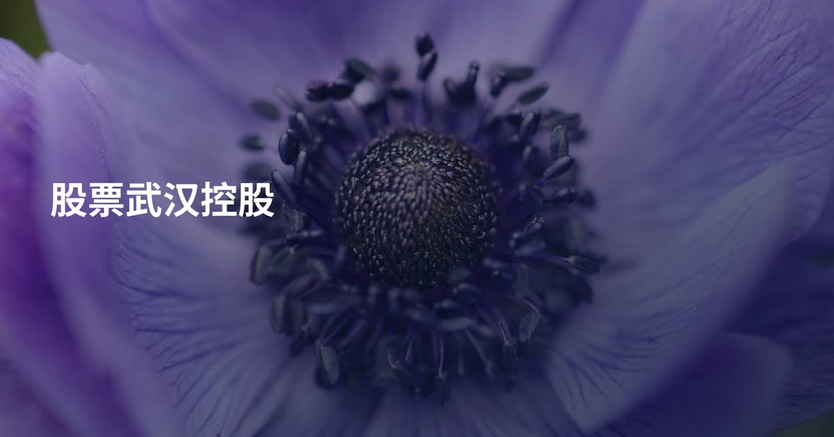 股票武汉控股