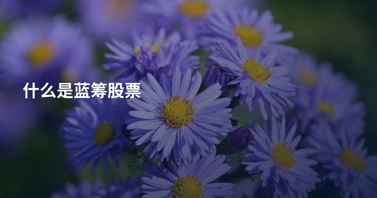 什么是蓝筹股票