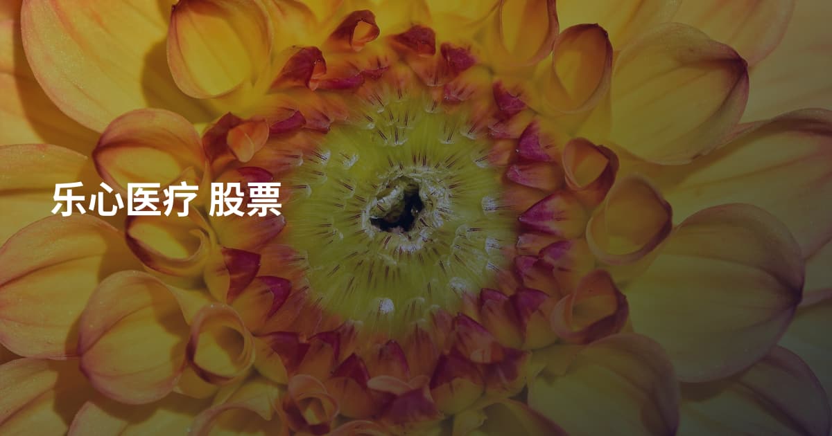 乐心医疗 股票