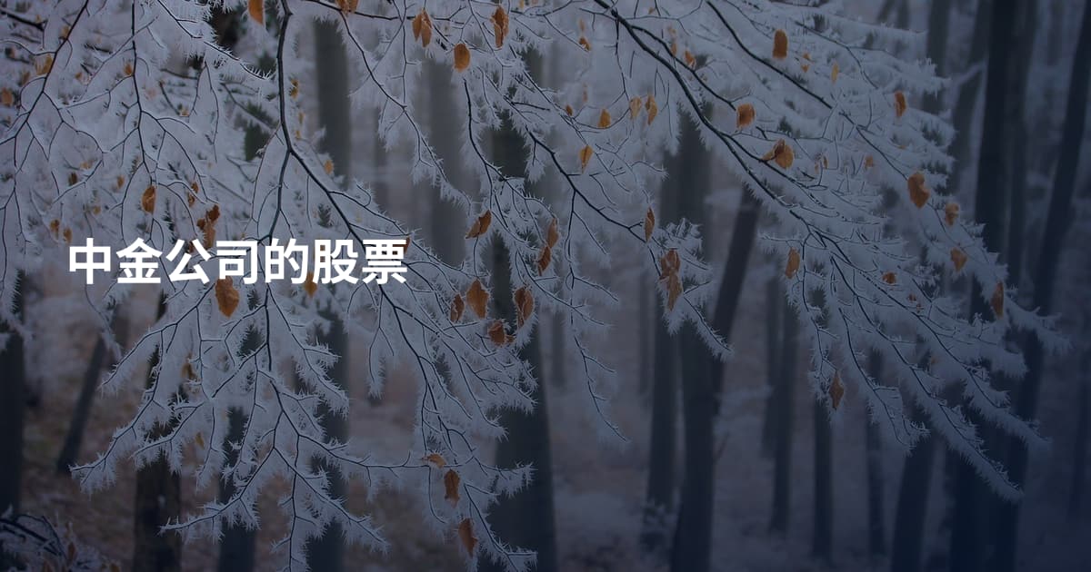 中金公司的股票