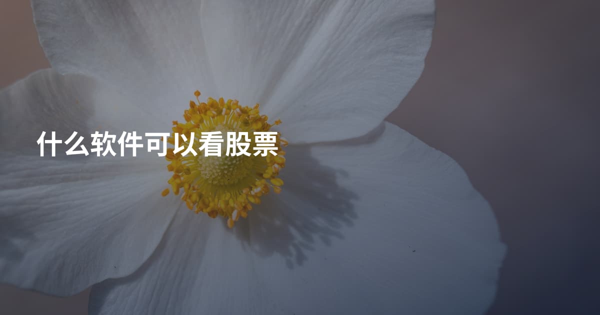 什么软件可以看股票