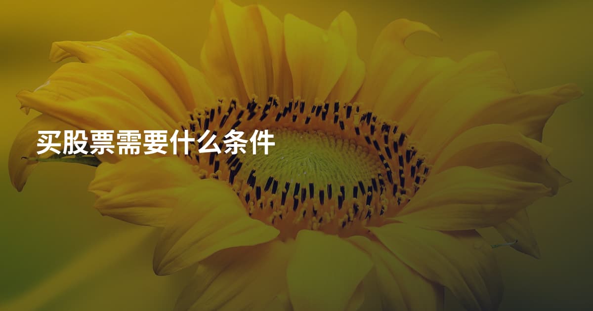 买股票需要什么条件