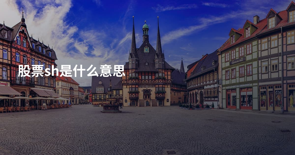 股票sh是什么意思