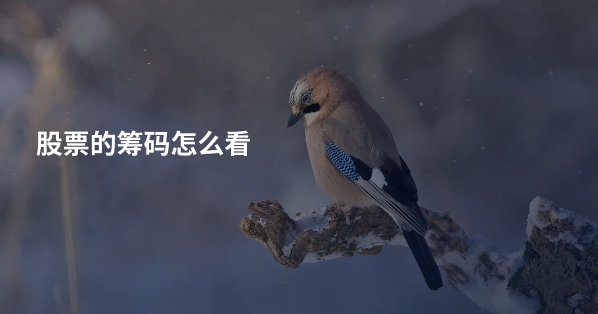 股票的筹码怎么看