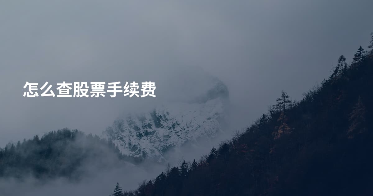 怎么查股票手续费