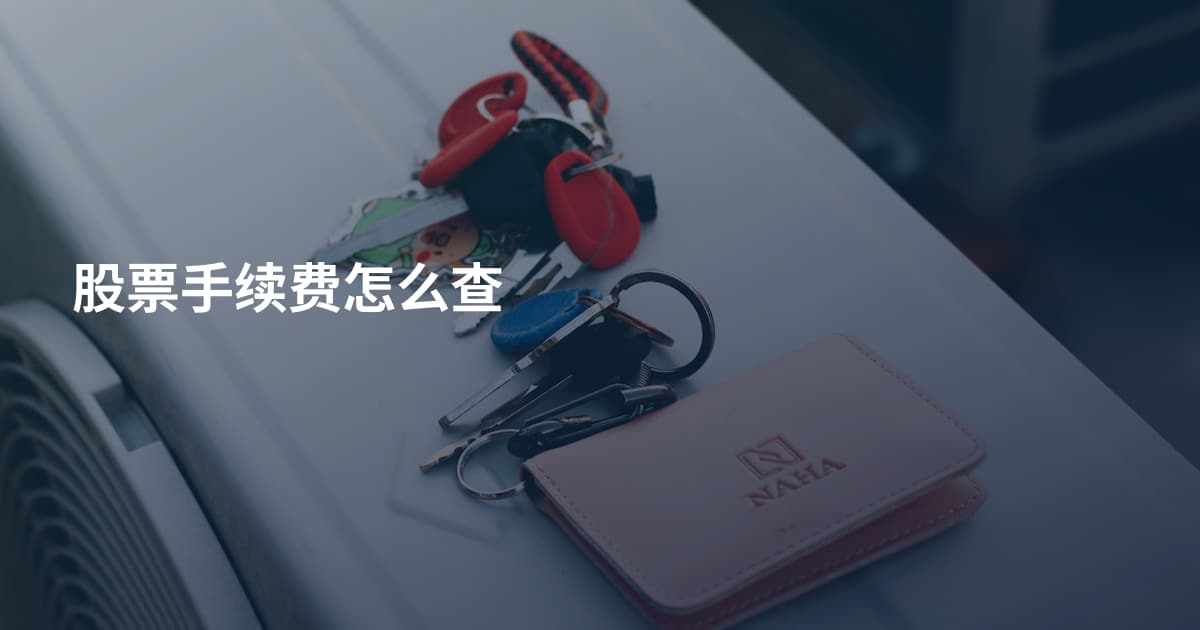 股票手续费怎么查