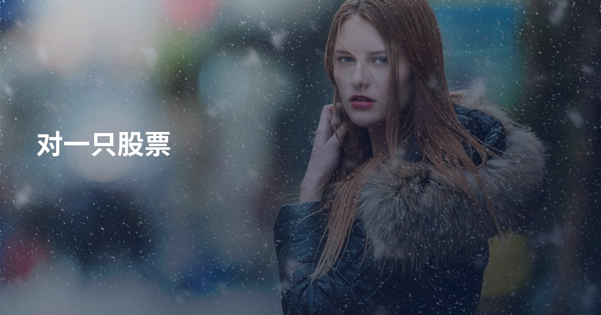 对一只股票
