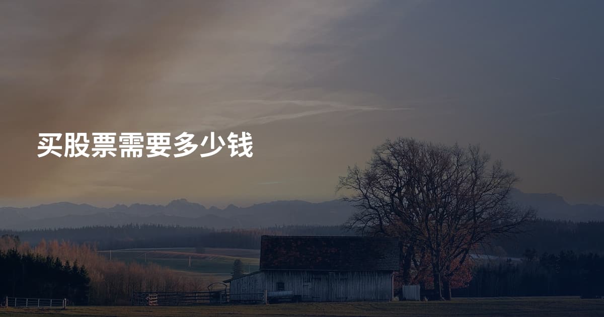 买股票需要多少钱