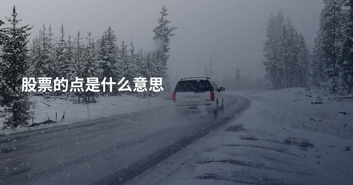 股票的点是什么意思