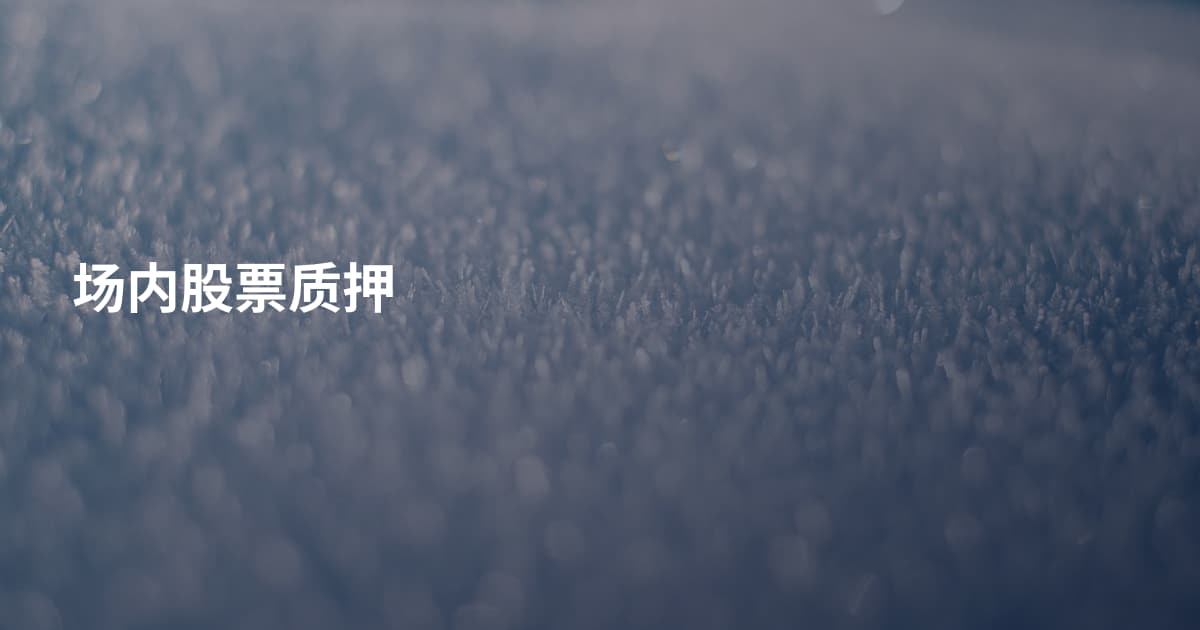 场内股票质押
