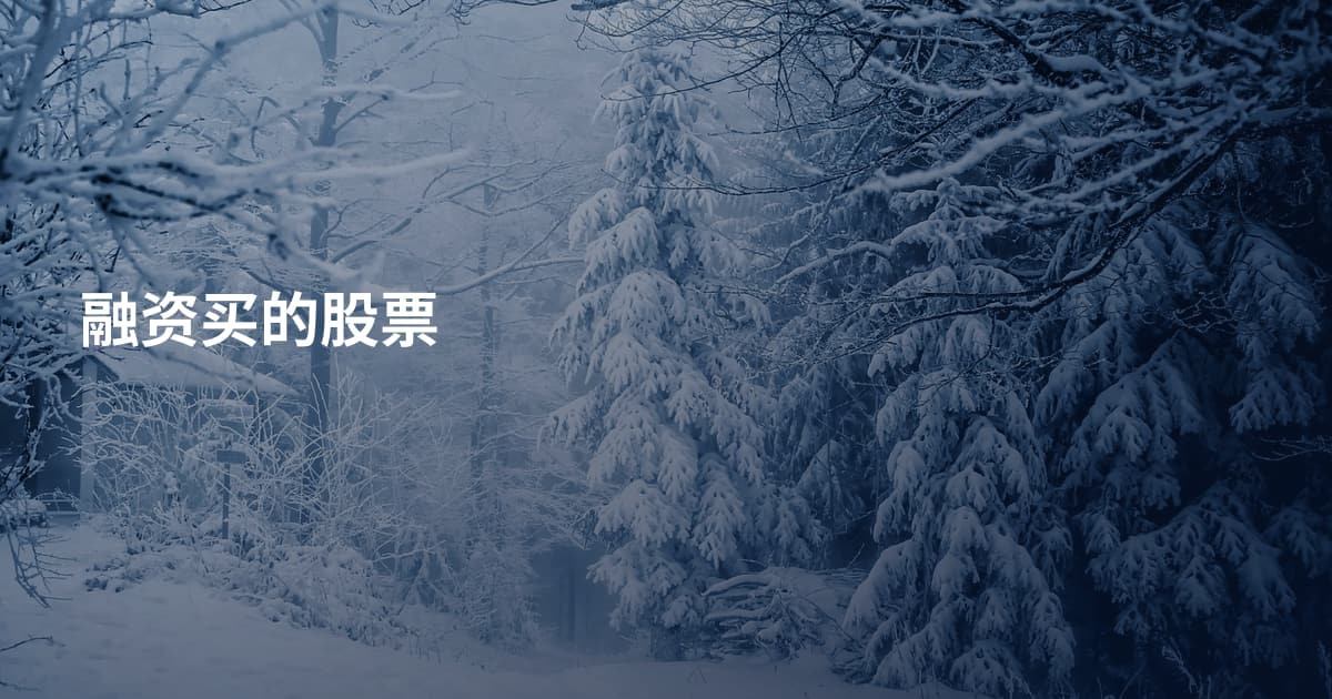 融资买的股票