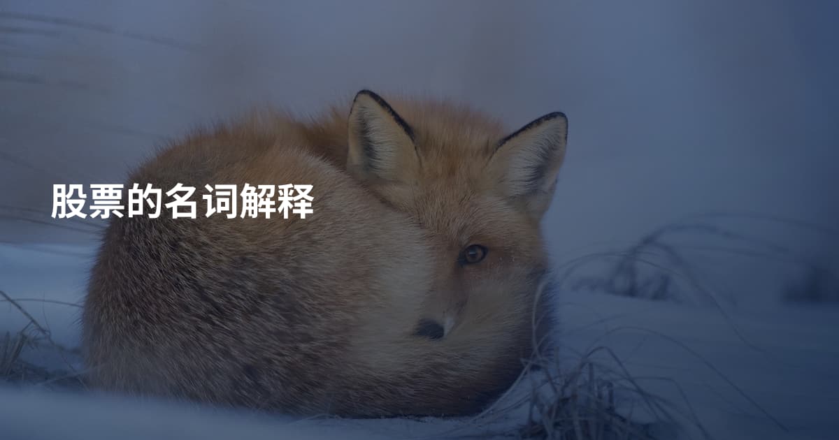 股票的名词解释