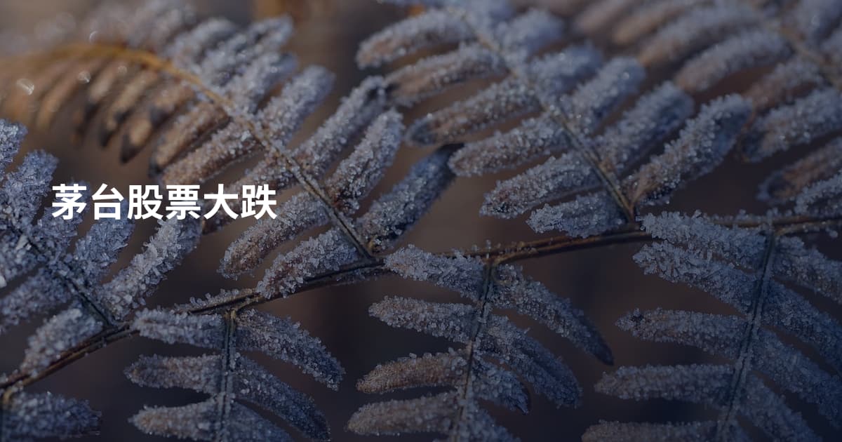 茅台股票大跌