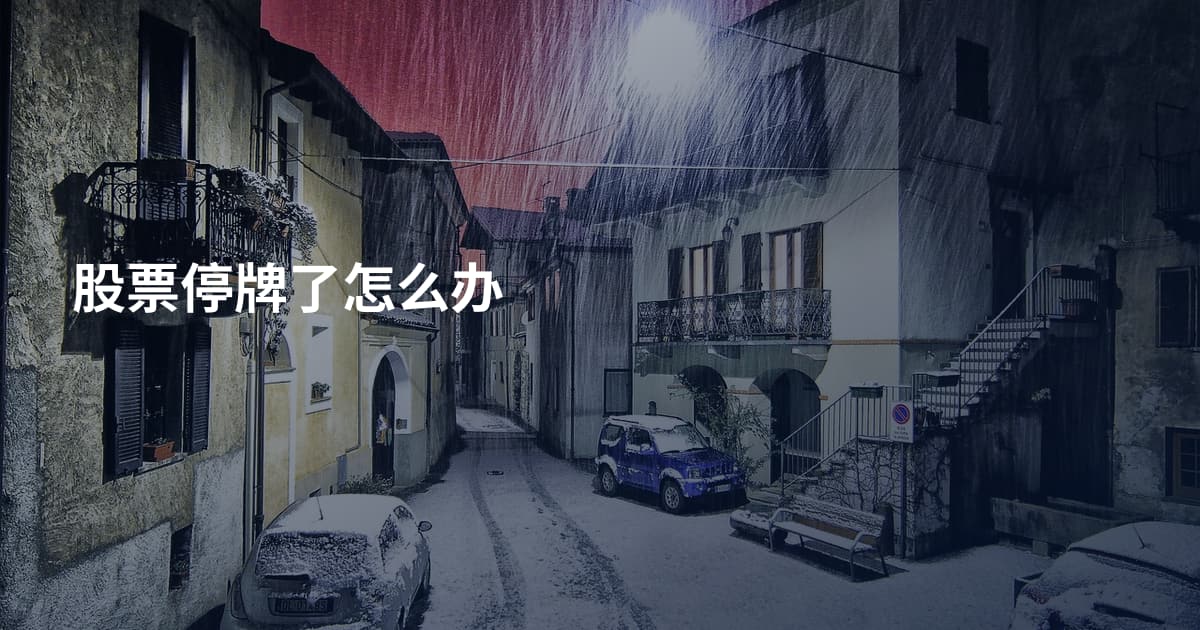 股票停牌了怎么办