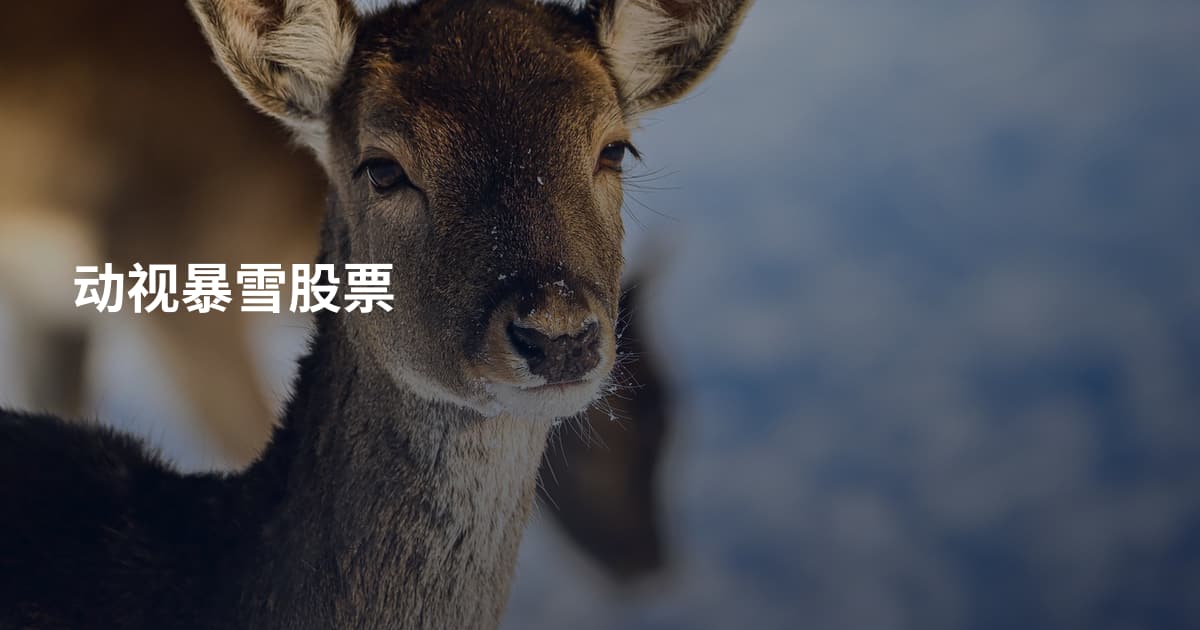 动视暴雪股票