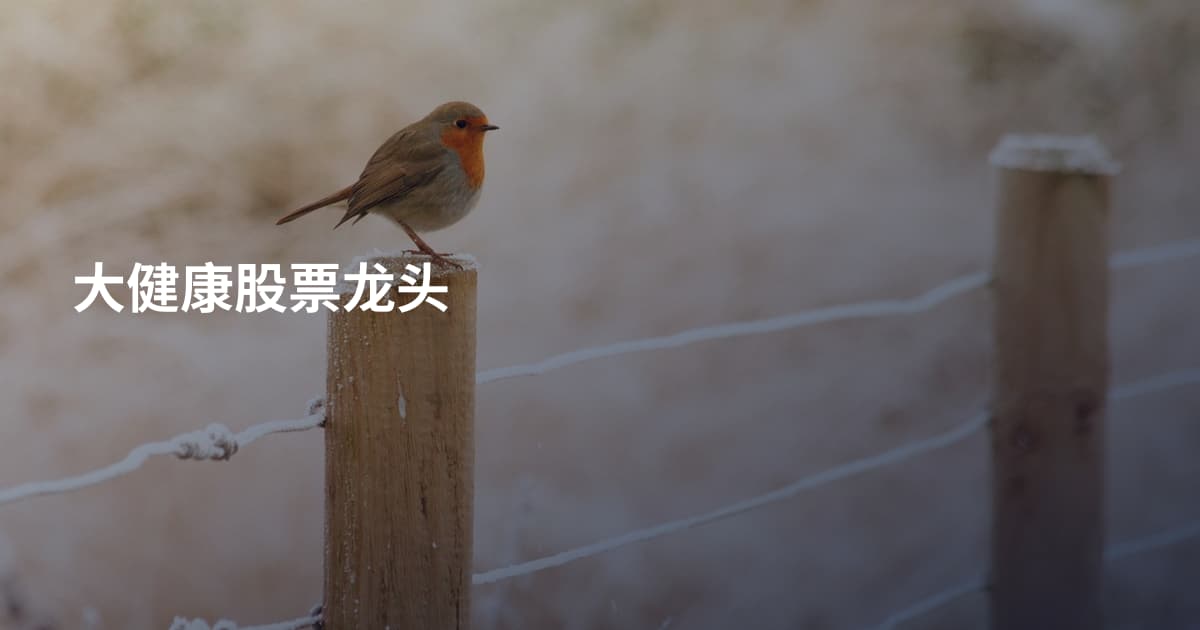大健康股票龙头