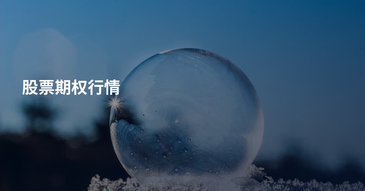 股票期权行情