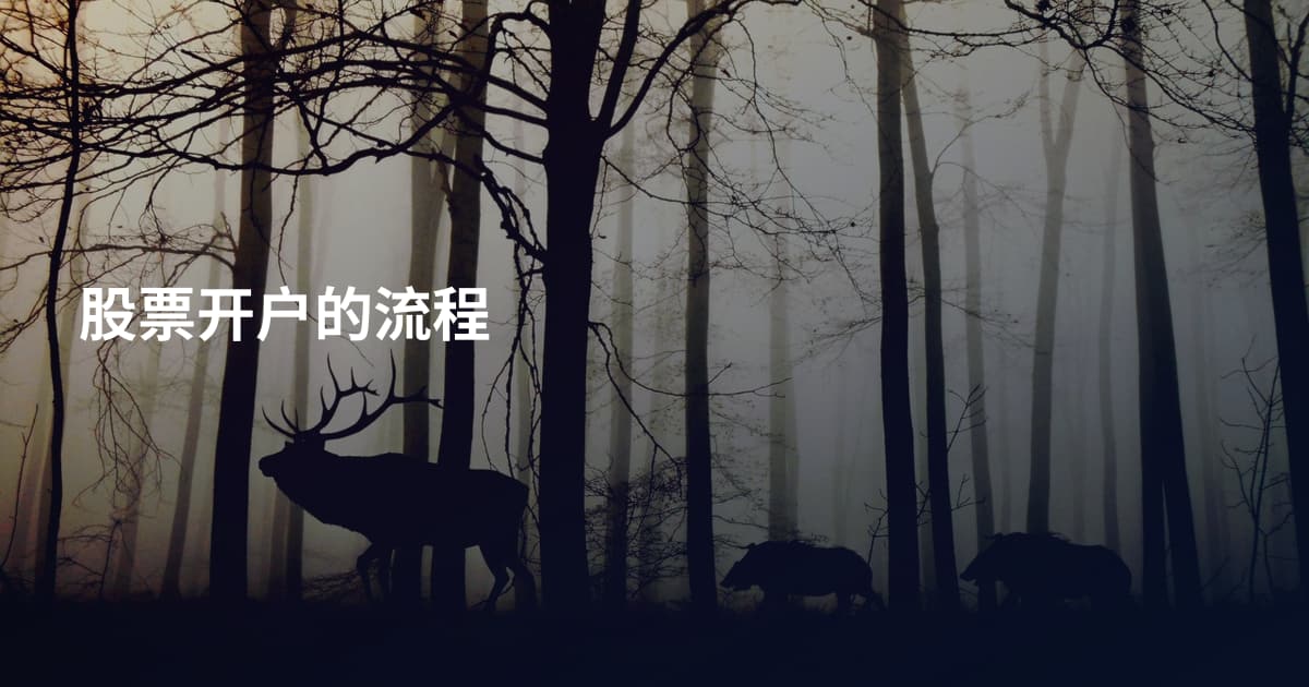 股票开户的流程