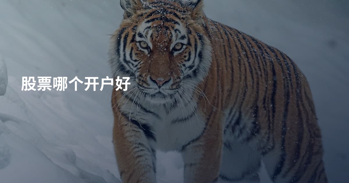 股票哪个开户好