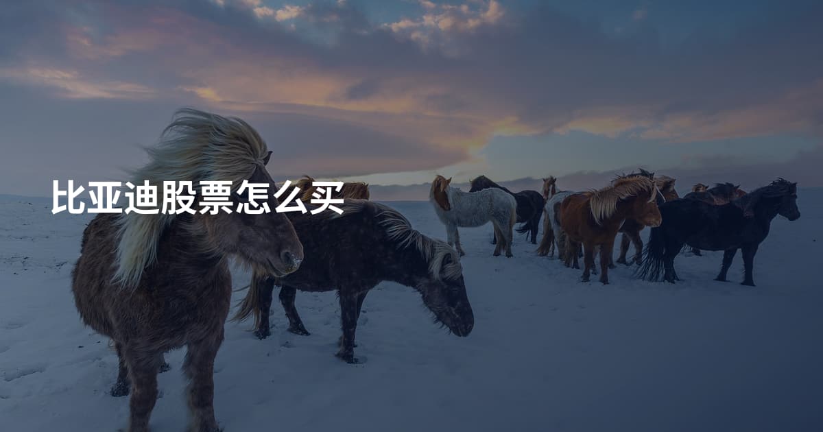 比亚迪股票怎么买