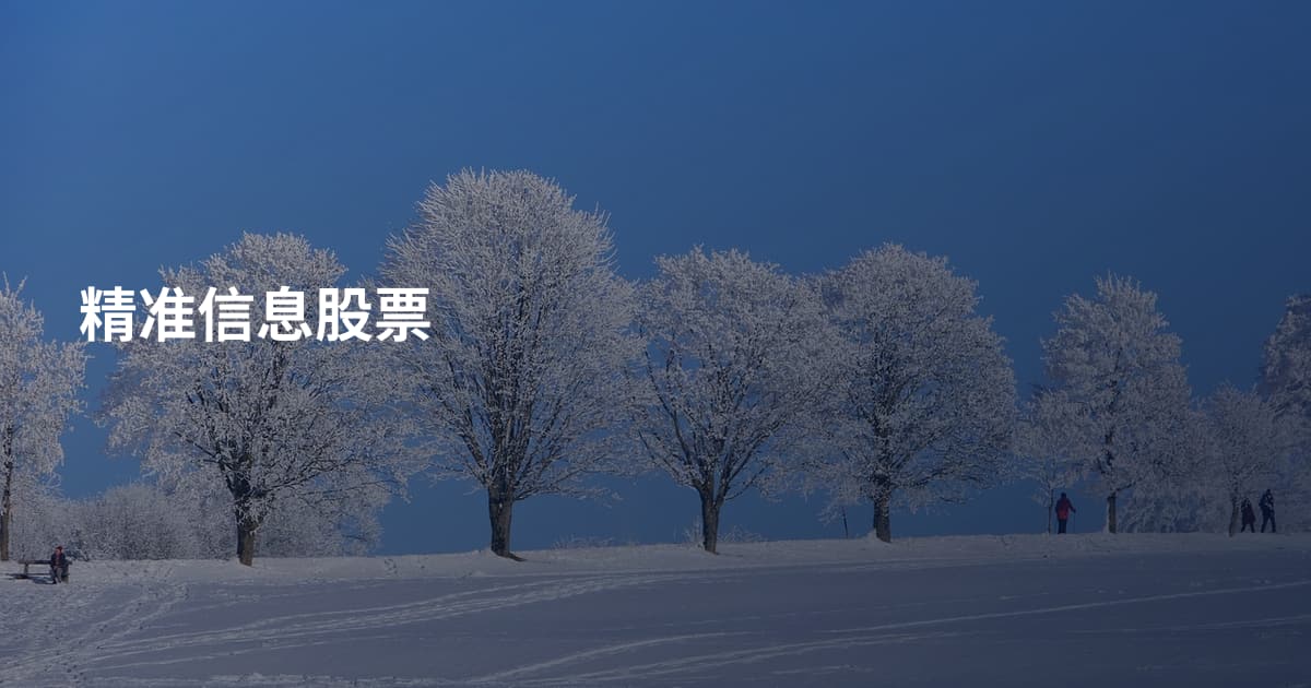 精准信息股票