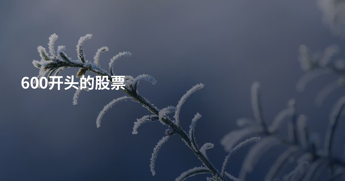 600开头的股票