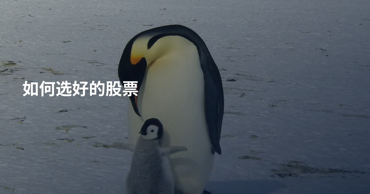 如何选好的股票
