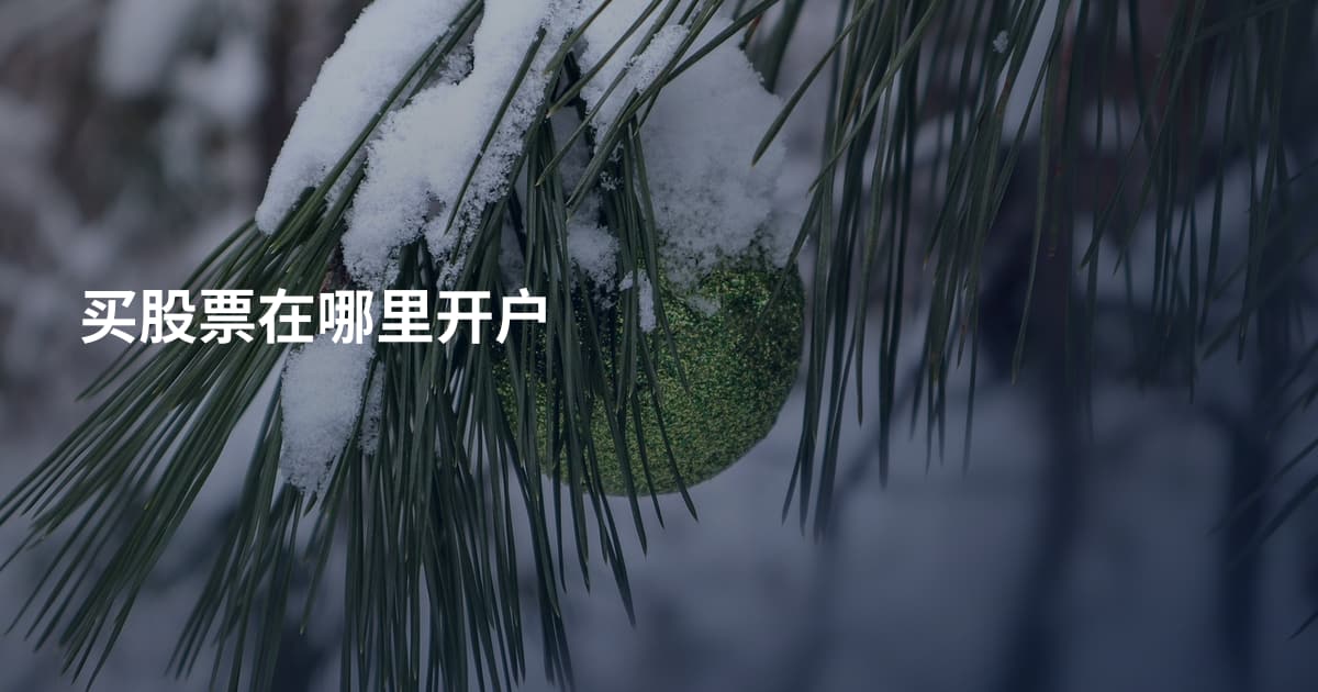 买股票在哪里开户