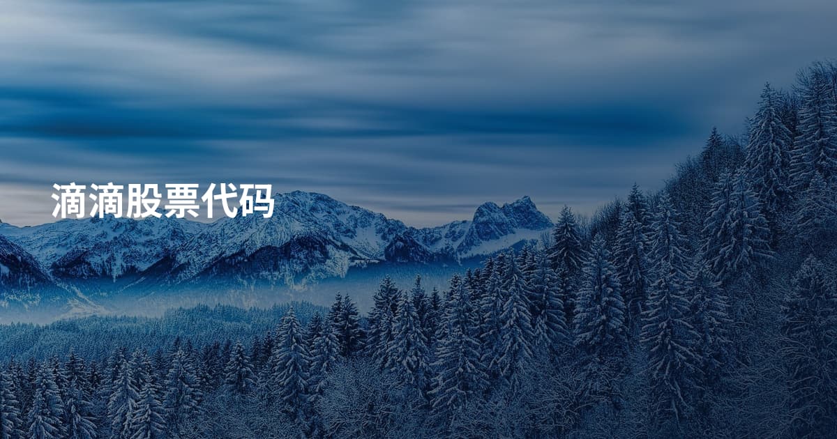 滴滴股票代码