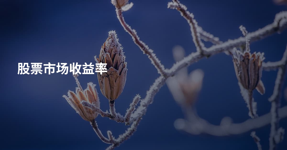 股票市场收益率