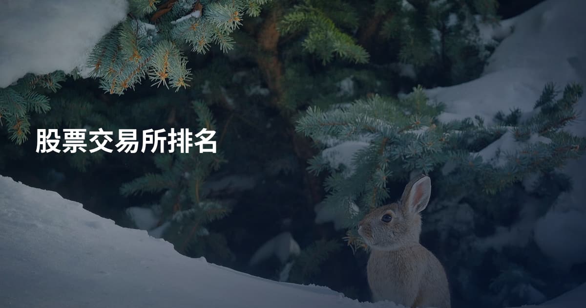 股票交易所排名