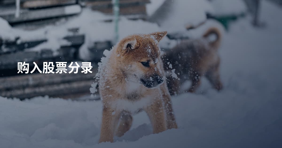 购入股票分录