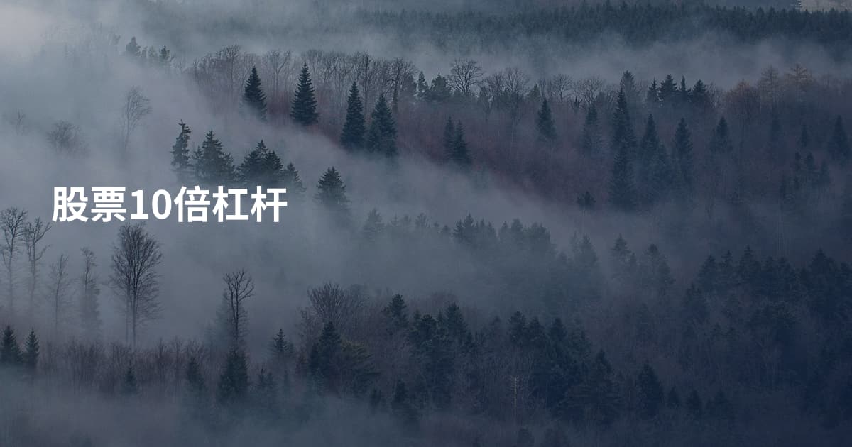 股票10倍杠杆