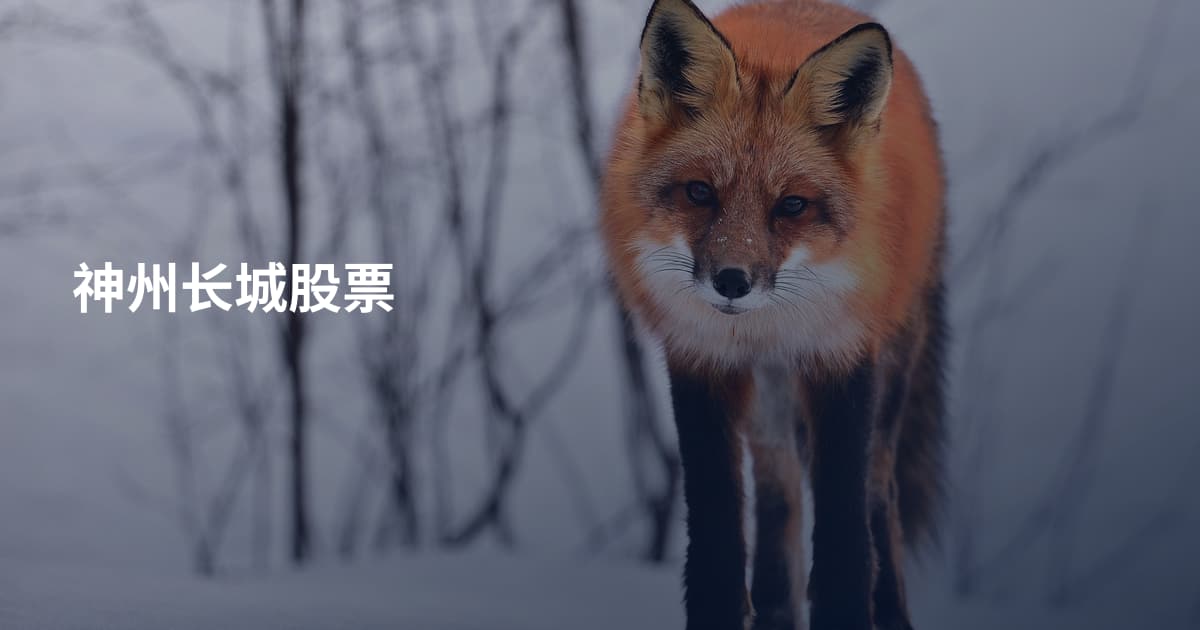 神州长城股票